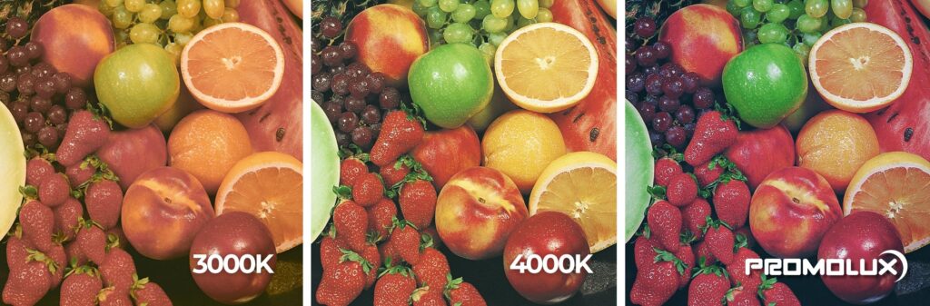 Produce Lighting That Makes Fruit Look Fresh